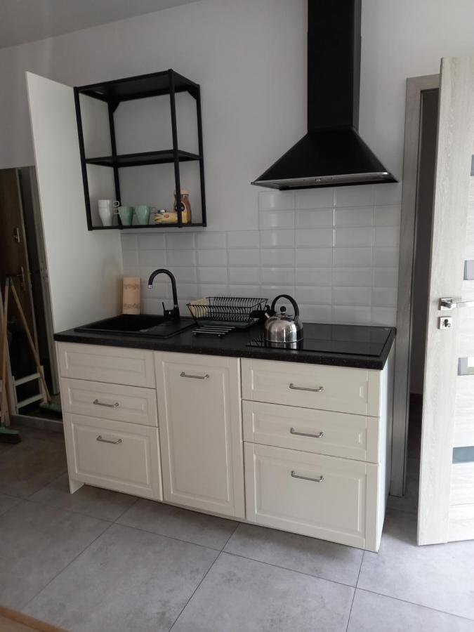 Apartament przy Obozie Oświęcim Zewnętrze zdjęcie